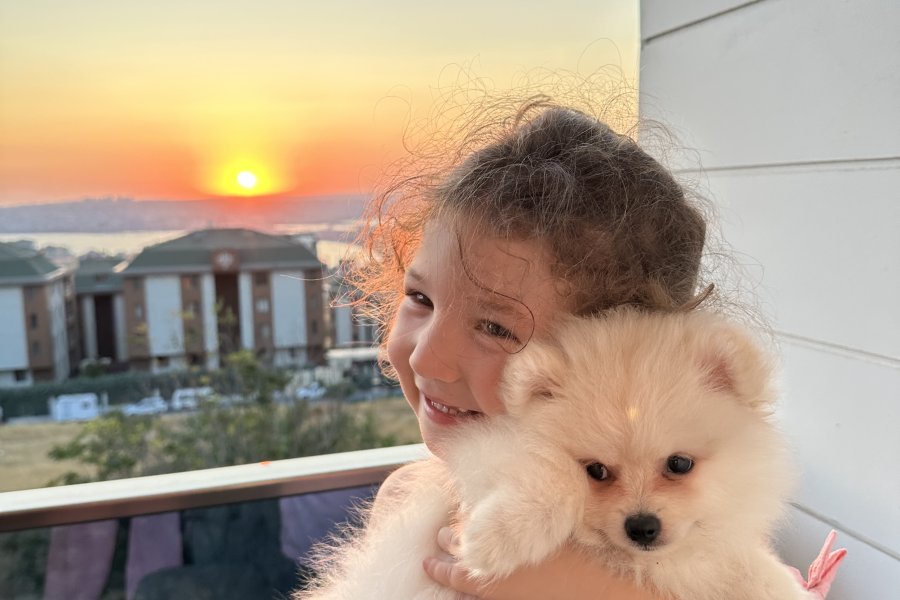 Pomeranian boo erkek eşyalarıyla birlikte satilik 1