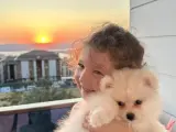 Pomeranian  boo erkek eşyalarıyla birlikte satilik