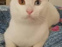 Acil Yuva Arıyoruz!