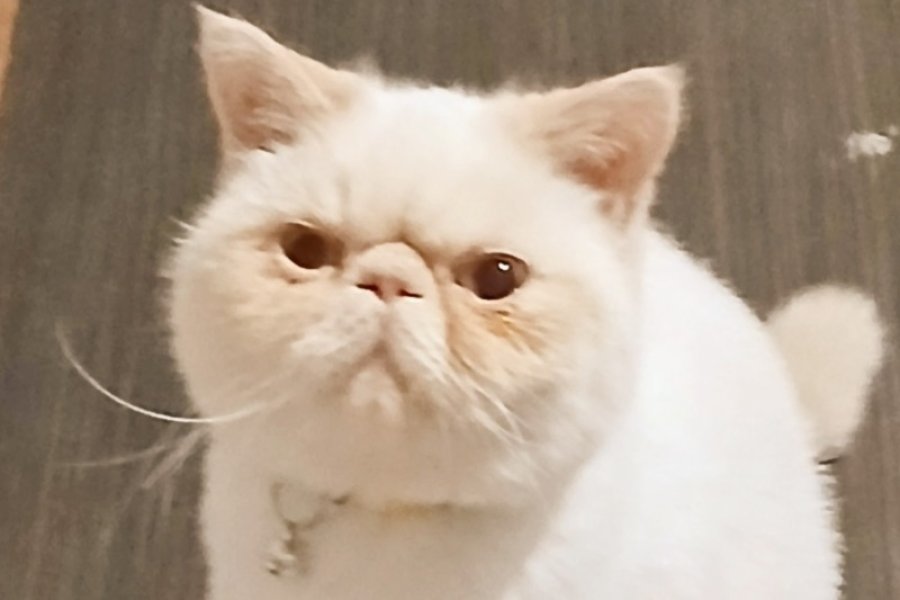 Biraz Tombişim  ama ben çok tatlıyıımm ! 3