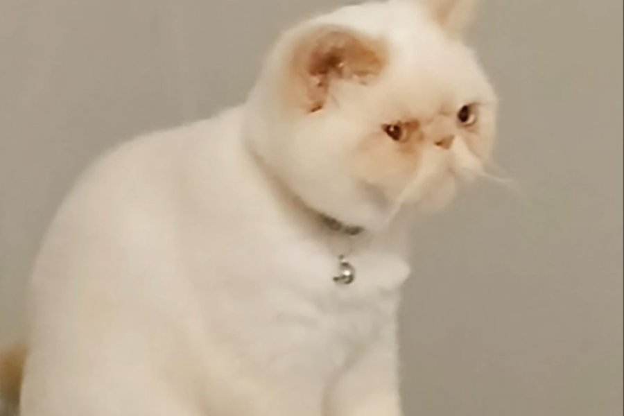 Biraz Tombişim  ama ben çok tatlıyıımm ! 2