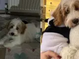 3 aylık bebeğimize iyi bir yuva arıyoruz.