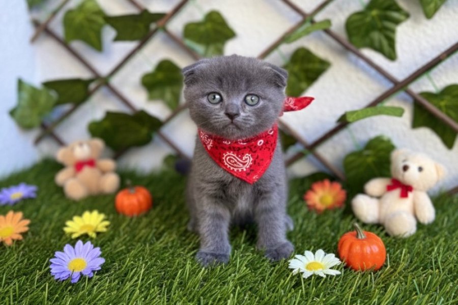 YENİ YILIN EN GÜZEL HEDİYESİ BEREKETİ 2