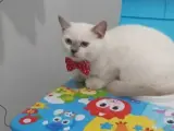 BU GÜZELLİKTEN HER EVE LAZIM:)
