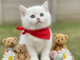 BEMBEYAZ İÇİNİZİ ISITACAK SAĞLIKLI BEBEĞİM