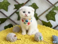 İNCİ KIZIMIZ 41 KERE MAŞALLAH BONCUK BEBEK
