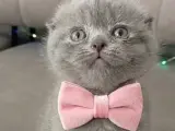 Tipini sevdiğim minnaklar teslime hazır
