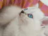 Güzeller güzeli kızımız yeni yuvasına gitmeye hazır