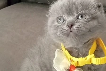 Tipini sevdiğim minnaklar teslime hazır 2