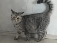 8 aylık jülide