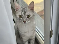 Kızımıza yuva arıyoruz