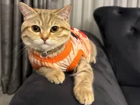 Mia kızımıza daimi yuva arıyoruz
