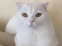 2 yaşındaki Pablo için kalıcı yuva