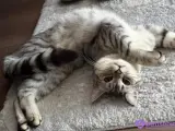 Sevgi dolu kalıcı yuva arıyoruz 