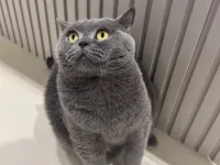 Güzel kızım Mia’yı sahiplecek aile arıyoruz