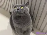 Güzel kızım Mia’yı sahiplecek aile arıyoruz