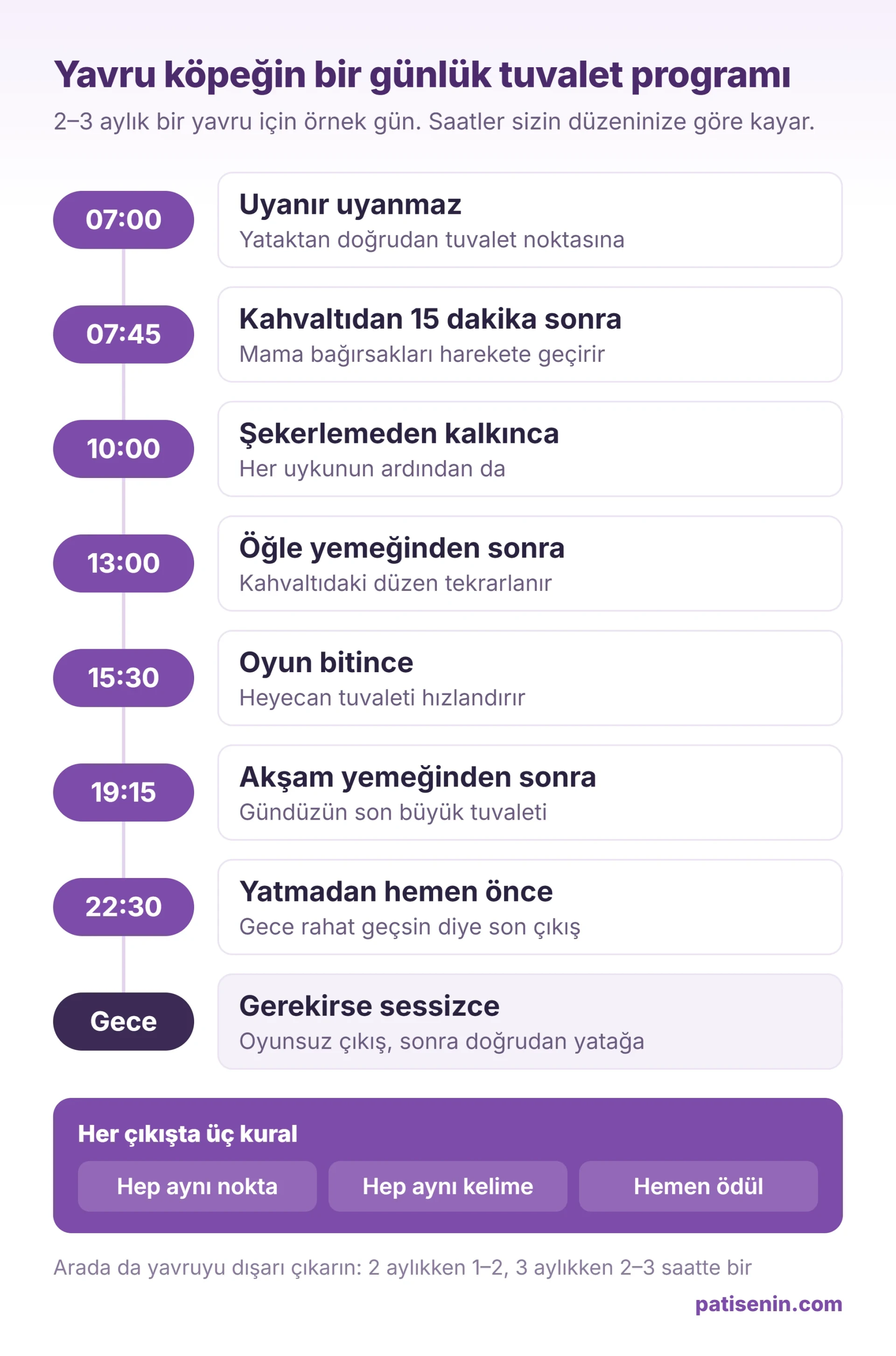 2–3 aylık bir yavru için köpek tuvalet eğitimi programı: uyanınca, yemeklerden ve oyundan sonra, yatmadan önce, gerekirse gece bir kez.