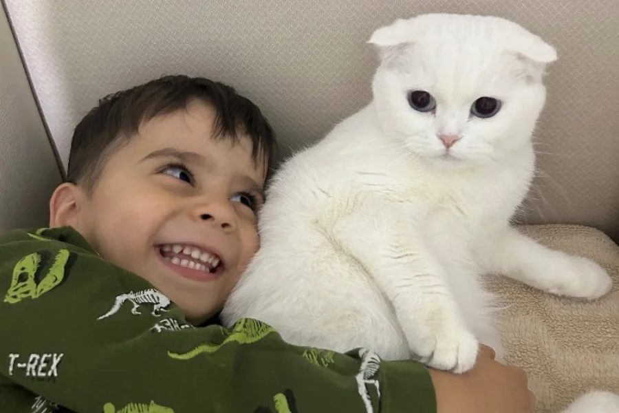 Pamuk kızımıza yuva arıyoruz 1