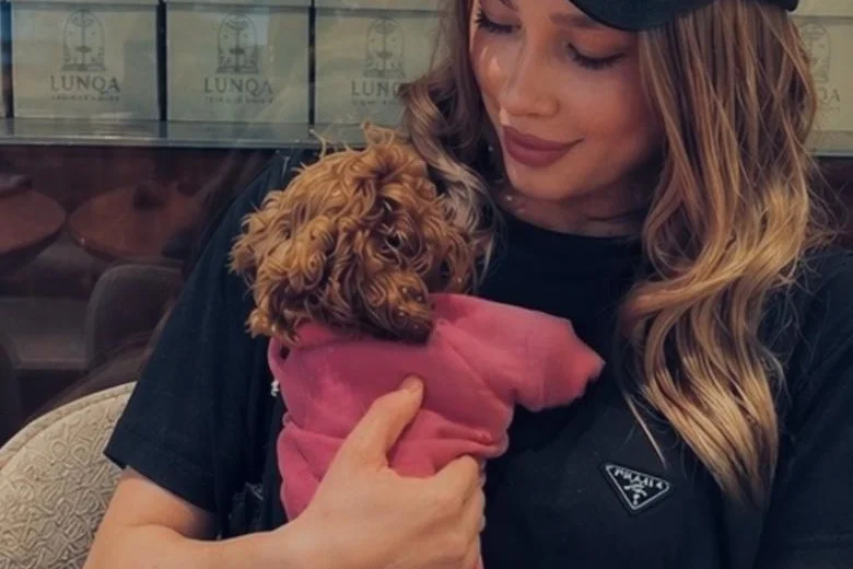 3 aylık toy poodle dişi 2