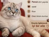 4 Yaşında oğlumuza ilgilenebilecek yuva