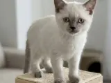 Bebeğimm teslime hazır
