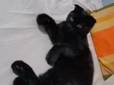 Güvenilir bi yuva arıyoruz.