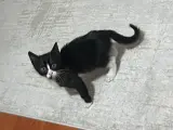 2 Aylık Acil Yuva