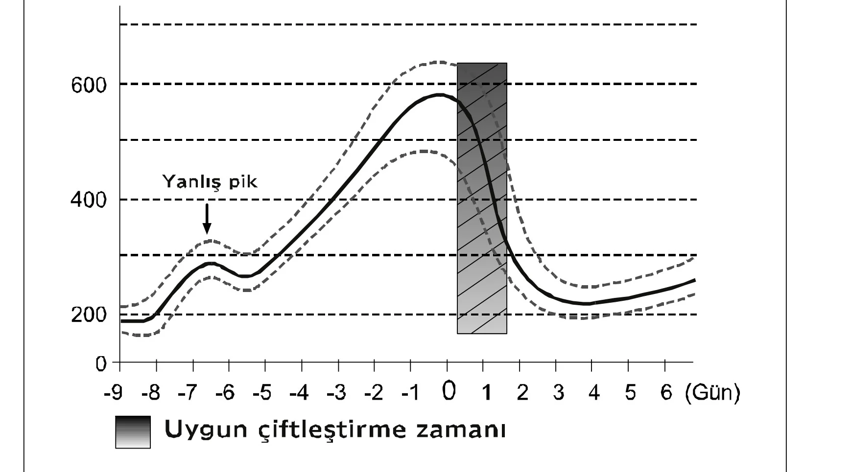 Toy poodle ne zaman &ccedil;iftleşir?